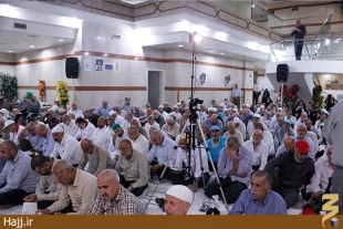 دست نياز و طلب عفو زائران ايراني در جوار بارگاه ملكوتي رسول الله(ص) گزارش تصويري