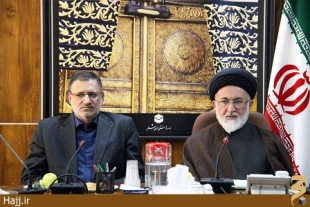 آخرين گروه از زائران ايراني بامداد امروز به كشور بازگشتند