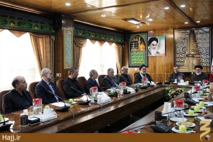 آخرين گروه از زائران ايراني بامداد امروز به كشور بازگشتند