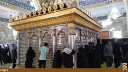 مرقد حربن يزيد رياحي باب التوبه كربلايي ها