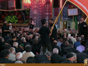 چهارمين روز از موكب امام رضا در حرم امام حسين(ع)برپا شد