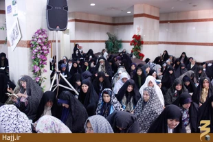 دست نياز و طلب عفو زائران ايراني در جوار بارگاه ملكوتي رسول الله(ص) گزارش تصويري
