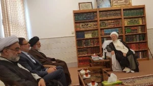 دیدارنماینده ولی فقیه در امور حج و زیارت با مراجع عظام تقلید