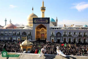 عزاداراي روز شهادت امام رضا در حرم رضوي تصاوير