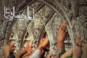 طرح خادمیاران رضوی گسترش می‌یابد