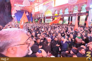 موکب امام رضا (ع) با شکوه خاصی درکربلای معلا برپا شد