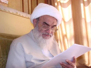 آیت الله مظاهری تبیین کردند: 

۱۰ خصلت که عقل انسان را کامل می کند