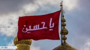تصاویر دیدنی از حرم امام حسین (ع)