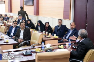 نشست «مطالعات اربعين پژوهي» با حضور استادان و پژوهشگران علوم انساني برگزار شد