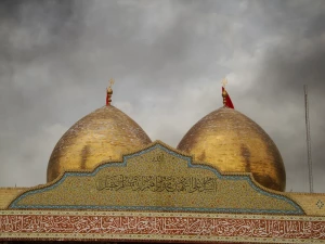 مسیّب
