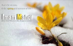 The Blessed Birth of Imam Mahdi (peace be upon him)