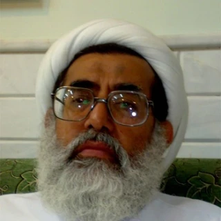 Saudi Shiite scholar warns against Ayatollah al-Nimr execution