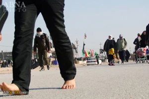 850,000 Visas Issued to Arbaeen Pilgrims: Iranian Official