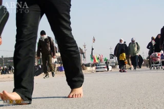 850,000 Visas Issued to Arbaeen Pilgrims: Iranian Official