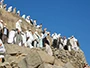 The Place where the first Quranic verses were revealed to the Holy Prophet  (Image report)