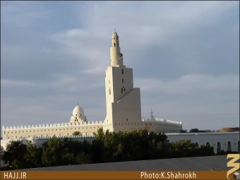 مسجد شجره