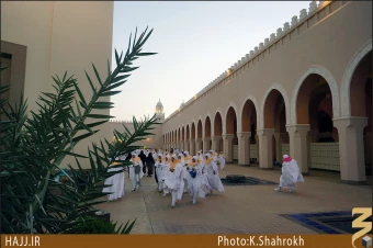 مسجد شجره