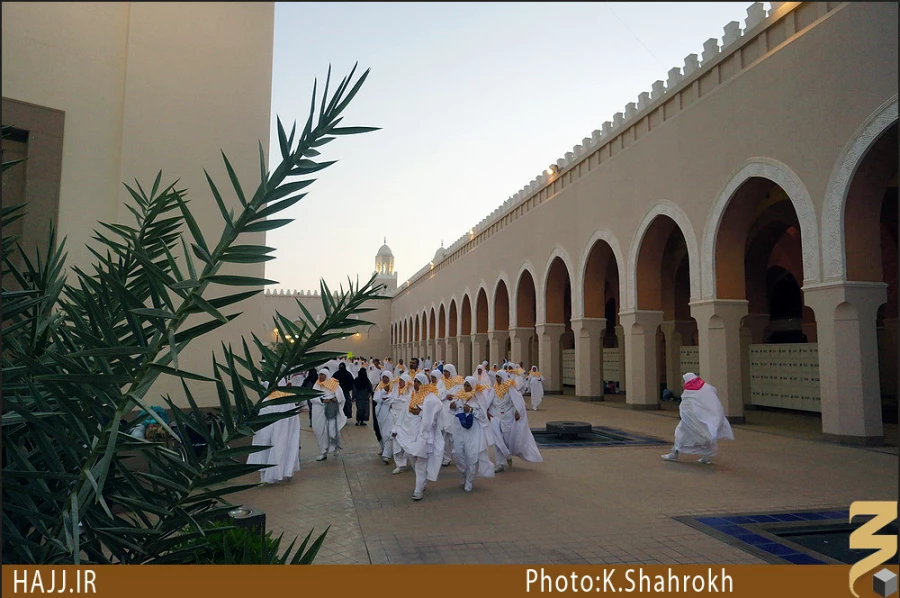 مسجد شجره