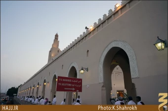 مسجد شجره