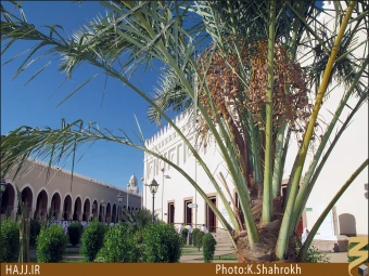 مسجد شجره