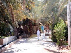 حياط مسجد شيعيان