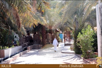 مسجد شيعيان []