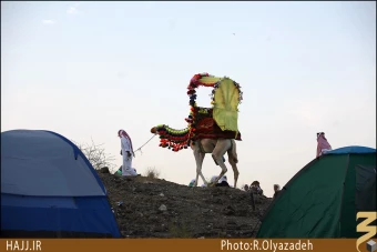 حاشيه هاي عرفات