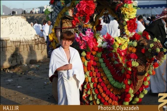 حاشيه هاي عرفات