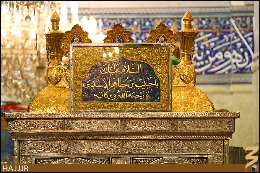 حبيب بن مظاهر