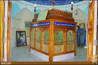محمد بن عقيل