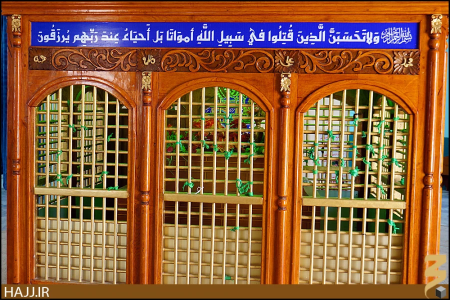 محمد بن عقيل