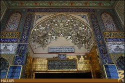 سيد محمد