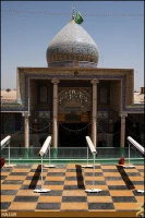 سيد محمد