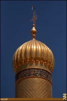 سيد محمد