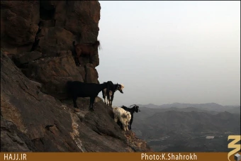 جبل النور