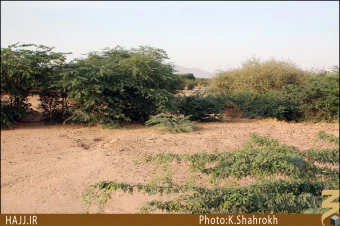 حديبيه