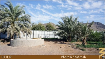 ابيار علي (عليه السلام)