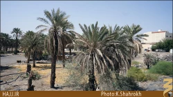 باغ امام هادي (عليه السلام)