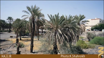 باغ امام هادي (عليه السلام)