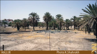 باغ امام هادي (عليه السلام)