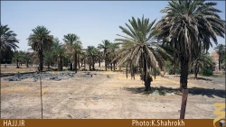 باغ امام هادي (عليه السلام)