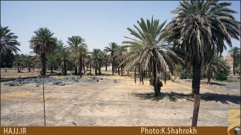 باغ امام هادي (عليه السلام)