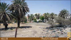 باغ امام هادي (عليه السلام)