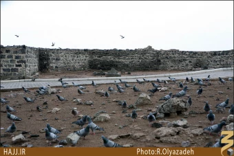 چهار امام (عليهم السلام)