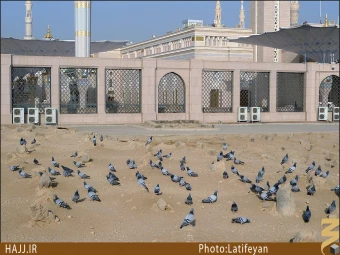 ام البنين