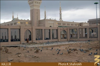 ام البنين []