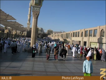 بين الحرمين