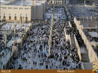 بين الحرمين