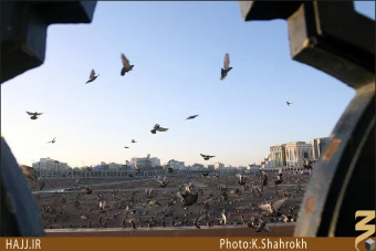 پنجره هاي بقيع