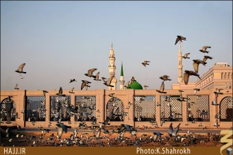 نماي حرم پيامبر (صلي الله عليه و آله) از بقيع